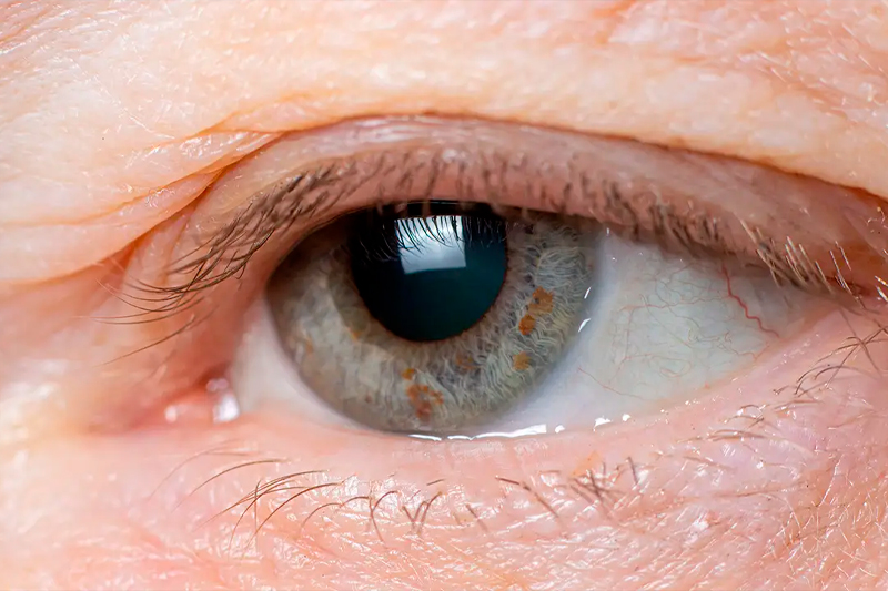 Happy senior couple driving